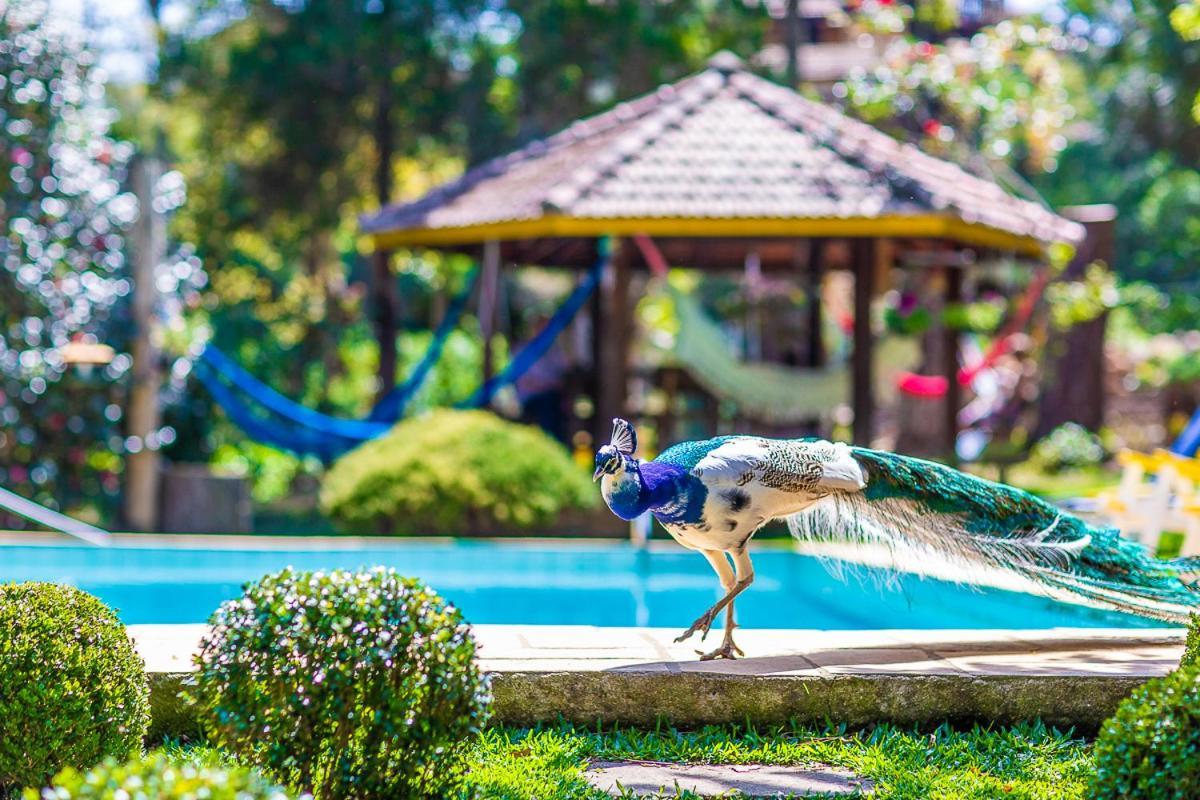 Pousada Villa D'Amore Monte Verde  Kültér fotó