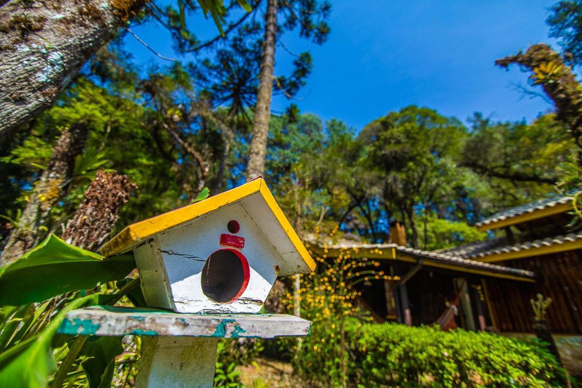 Pousada Villa D'Amore Monte Verde  Kültér fotó